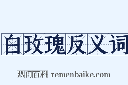 白玫瑰反义词是什么意思的图片